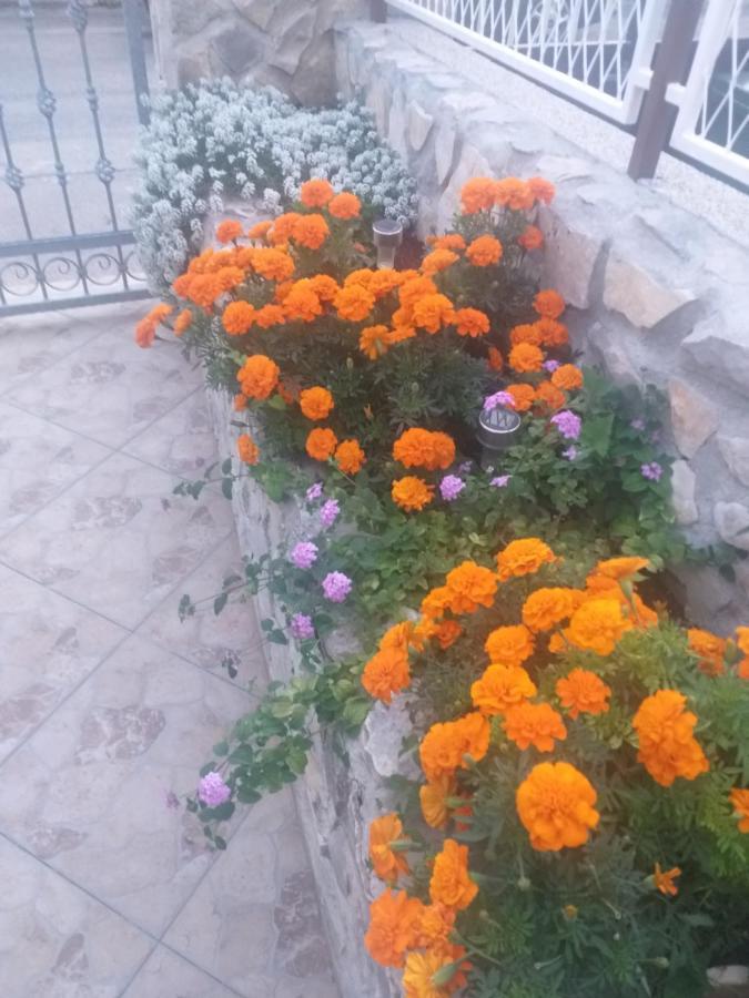 Apartamento La Vita Šibenik Exterior foto